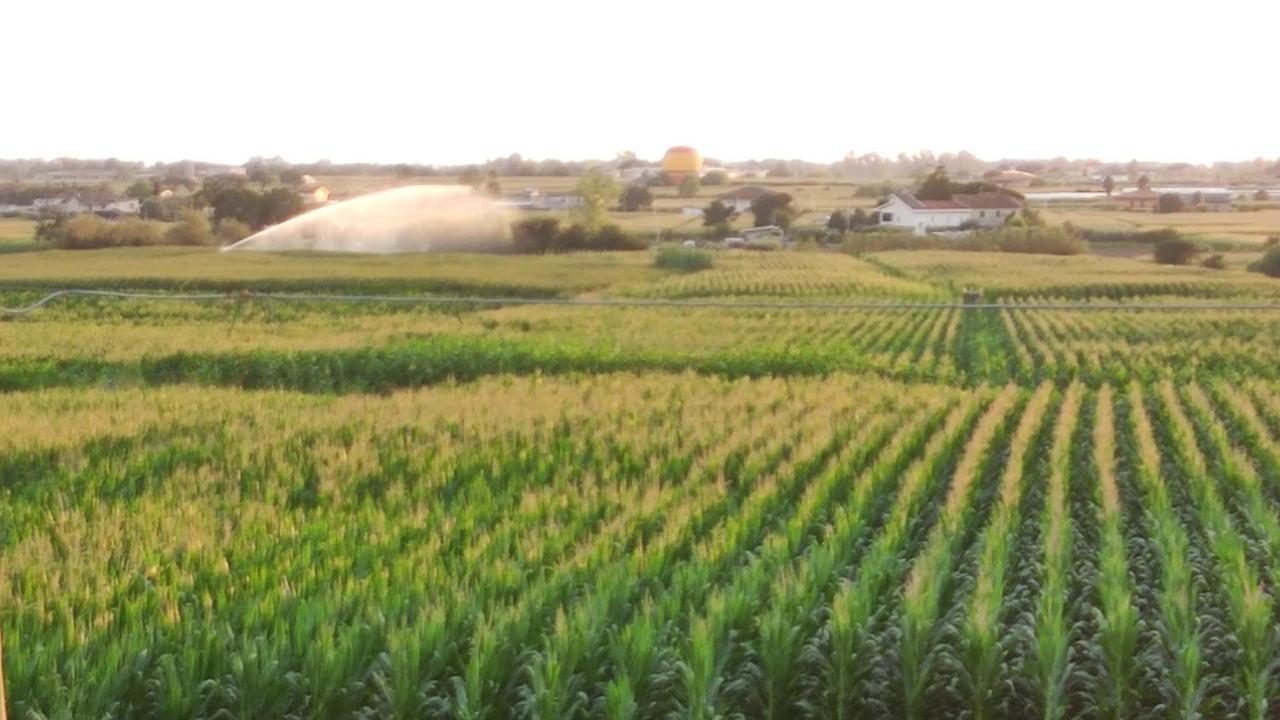 Le Colline Di Paestum Acomodação com café da manhã Capaccio Exterior foto