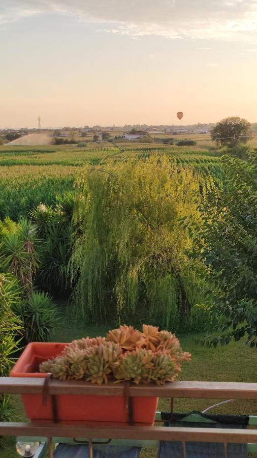 Le Colline Di Paestum Acomodação com café da manhã Capaccio Exterior foto