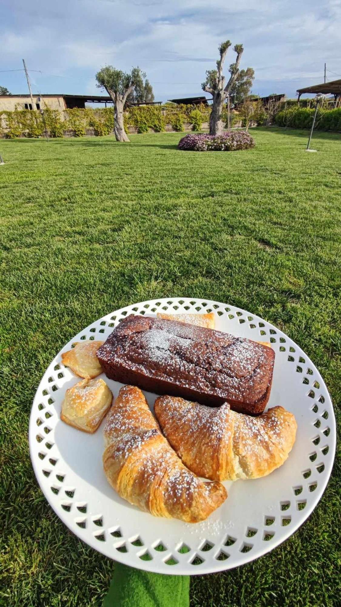 Le Colline Di Paestum Acomodação com café da manhã Capaccio Exterior foto
