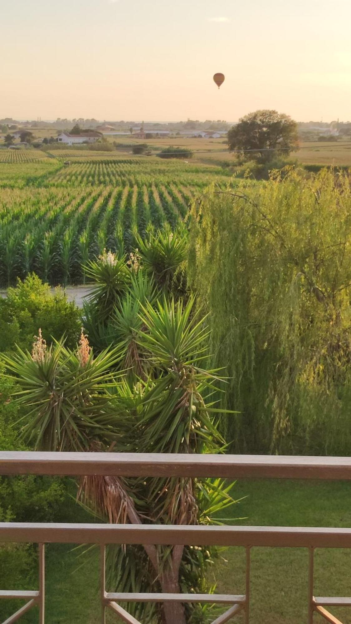 Le Colline Di Paestum Acomodação com café da manhã Capaccio Quarto foto